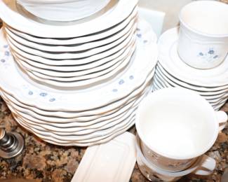  Pfaltzgraff "Poetry" dinnerware