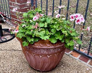 Spring is coming (at least that's what I keep telling myself)