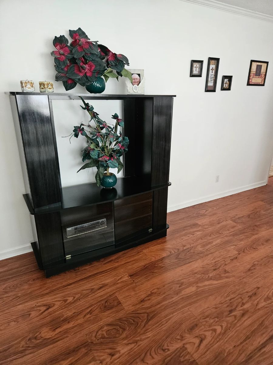 Entertainment Cabinet