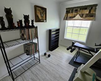 CD shelving case and metal shelving unit