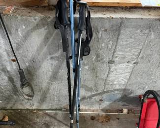 Salomon Escape Alu cross-country ski poles & Swissgear Anti-Shock Trekking Pole
