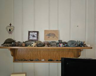 Armidilo collection, make a bulk offer. (sorry about the dust)