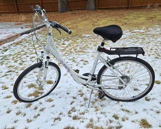 Ladies mountain bike - tires don't hold air