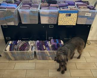 Quilt fabrics and our team mate, Luna.  