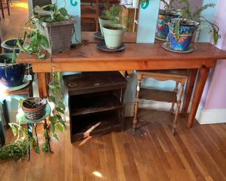 entry table-68x14x33… lots of house plants