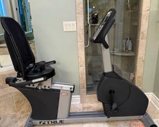 TRUE PS/50 Recumbent Bike