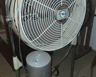 Fan