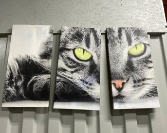 Cat Canvas