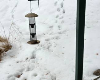 Bird Feeder 