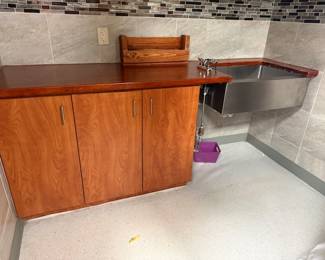 Cabinet counter and sink