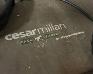 Cesar Millan Pro-Form Canine Treadmill