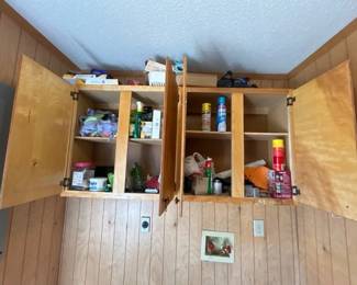 CONTENTS OF LAUNDRY ROOM CABINET