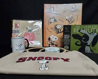 SH280Vintage Snoopy Scout Camp Hike Scrapbook And More 