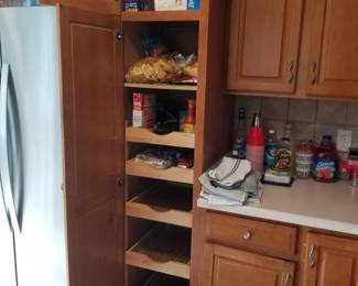 Cabinetry detail: Kitchen pantry with pull-out shelves
