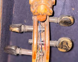 unusual animal head on violin