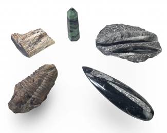 (5pc) Ruby Zoisite Tower Trilobite Orthoceras
