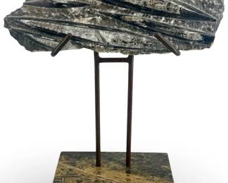 Polished Ammonite Fossil on Fossilized Base
