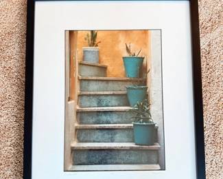 41 TomHaseltinePlanterPots3950LimitedEditionPhotoSigned