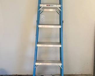 52 Werner250lbs6Ladder
