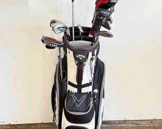 2 CallawayGolfBagCallawayTitleistCobraClubs