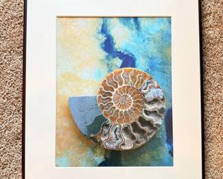 5 PattyPiccoAmmonitePhotoinMetalFrame