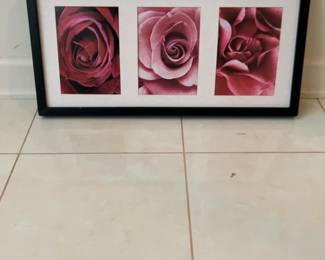 Framed Rose Triptych Wall Art