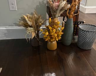 Tons of dried and live plants for around the house 