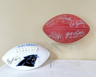 Signed Panthers Footballs