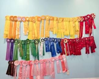 Horse Ribbons