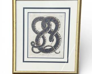LINNAEUS Deadly Viper Print, London
