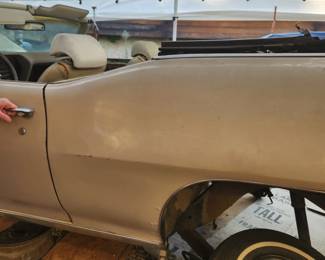 70 LeMans drvr side 14 panel