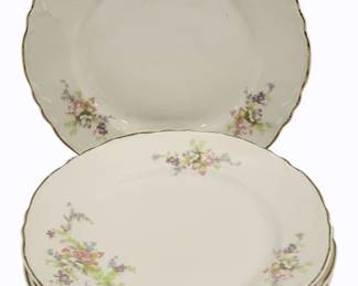 106 - 5 Radisson W.S Goerge Plates - 7"
