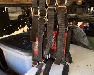 arm restraints for racing vehichles