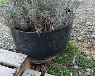 lavender planter