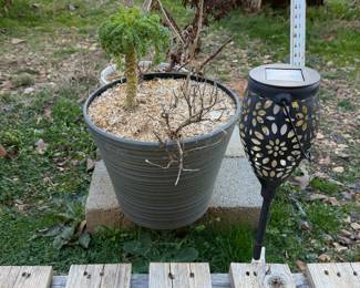 herb planters