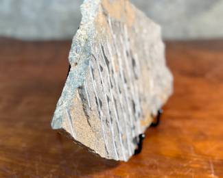 This lot features a genuine brittle star (Ophiuroidea) fossil plate featuring multiple specimens. Brittle stars are echinoderms closely related to starfish that use their flexible arms for movement across the seafloor. The fossil is preserved in a limestone matrix. Specimens often originate from locations like Morocco and are dated to periods such as the Ordovician. This piece measures, 7.5” H x 12” W x 1” D.

