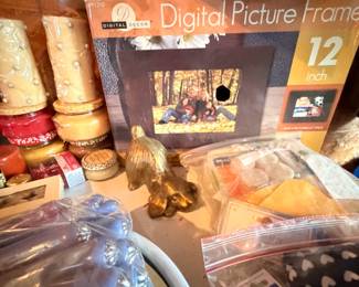 Digital Picture Fame