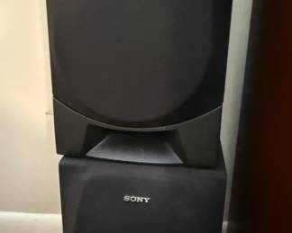 Pair Sony Speakers