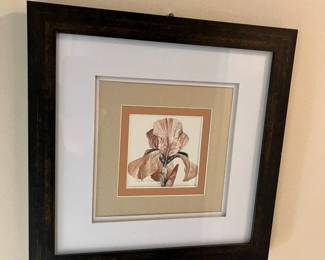 105 Michele Conley Vogel Iris Watercolor