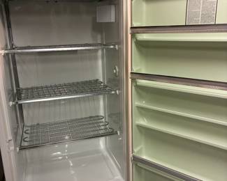 inside freezer