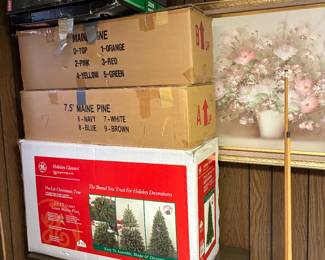 Christmas Trees (next year don't pay 75.00)!