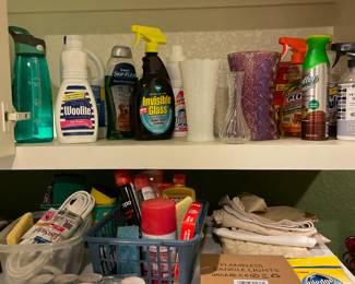 Cleaning supplies and vases