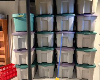 . . . these are the large variety