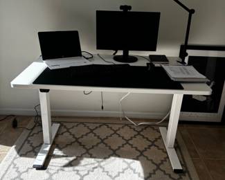 FlexiSpot EN Electric Standing Desk