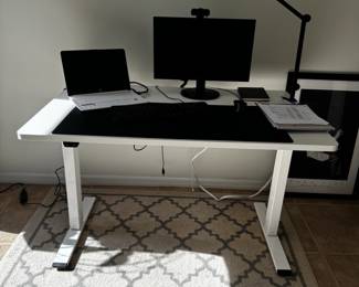 FlexiSpot EN Electric Standing Desk