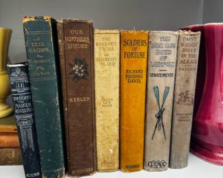 Collection of Vintage Childrens Books and Nature Guides