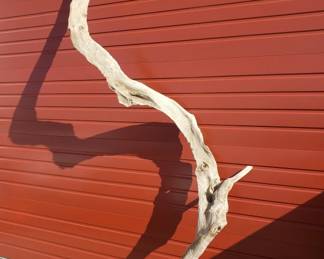 Large driftwood decoration