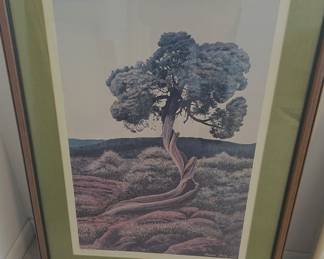 The Juniper in Colorado by Frank Fota. Signed,1976