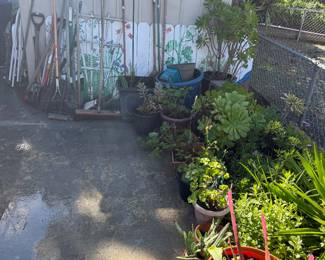 Garden Tools and Plants