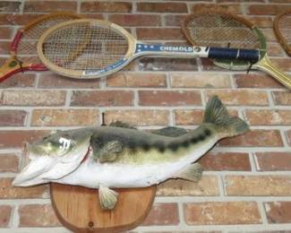Taxidermy Largemouth Bass Fish Mount